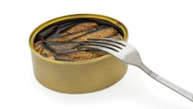 Aluminum anchovy can