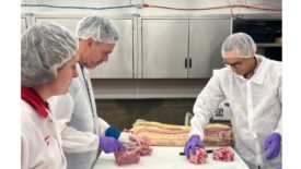 A team of importers works with U.S. pork loin at the University of Nebraska meat laboratory