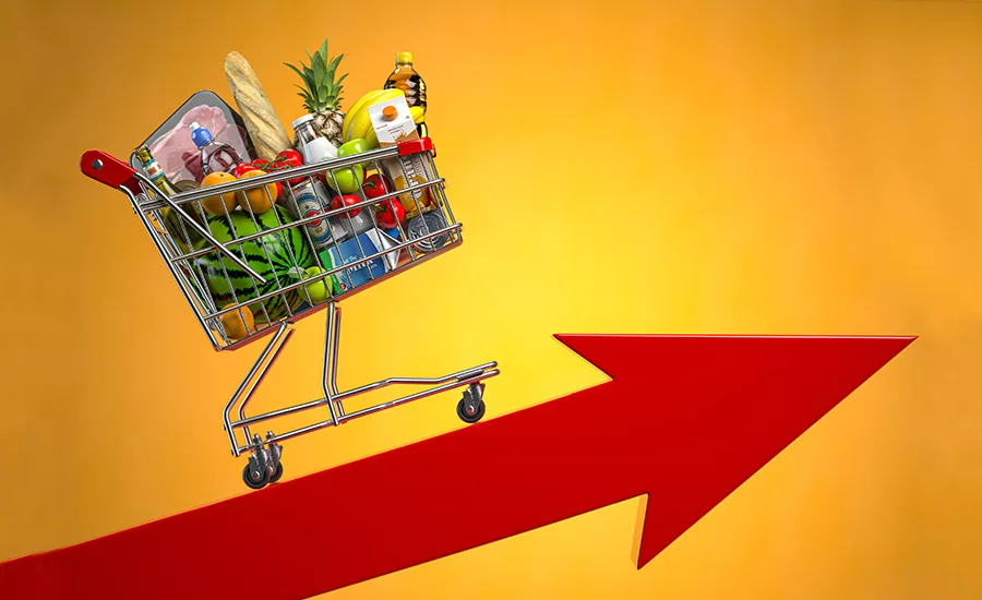 Inflation, growth of food sales, growth of market basket or consumer price index concept. Shopping basket with foods on arrow. 3d illustration