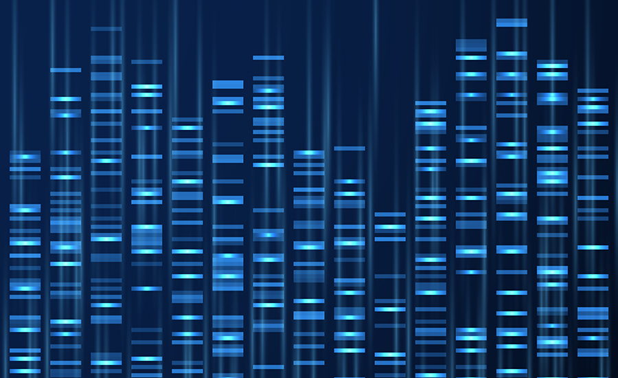 Genomic data visualization. Dna genome sequence, medical genetic map.