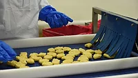 Cargill breading.jpg Cargill breading.jpg