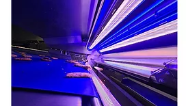 Veryx optical sorter for processed protein products from Key Technology