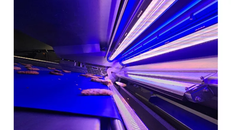 Veryx optical sorter for processed protein products from Key Technology