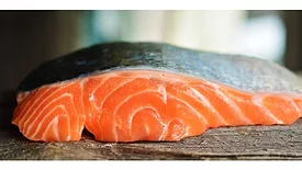 Salmon