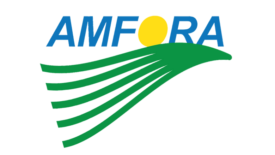 Amfora logo
