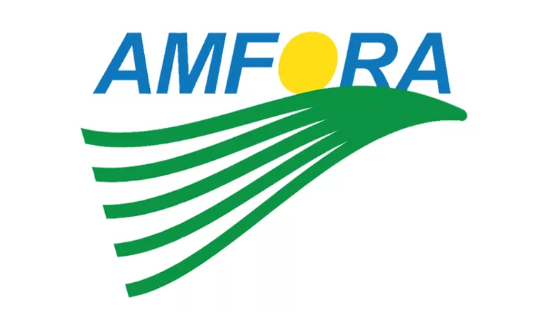 Amfora logo