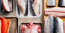 variety of fish