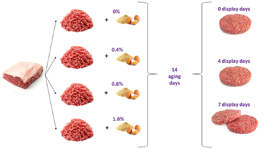 Schematic display of the sample preparation process for each striploin.