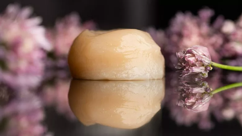 AQUA Cultured Foods scallop