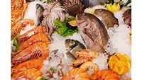 Seafood