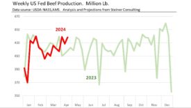 Steiner beef market update April 2024.jpg