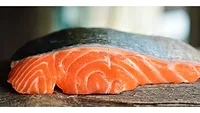 Salmon Salmon