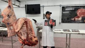 Meat Scientist Diana Clark breaks down Certified Angus Beef’s 10 standards.