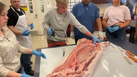 U of Idaho expert teaches meat cutting to high schoolers