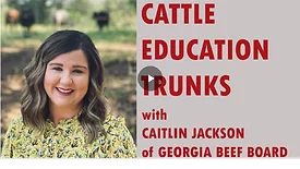 Cattle Education Trunks