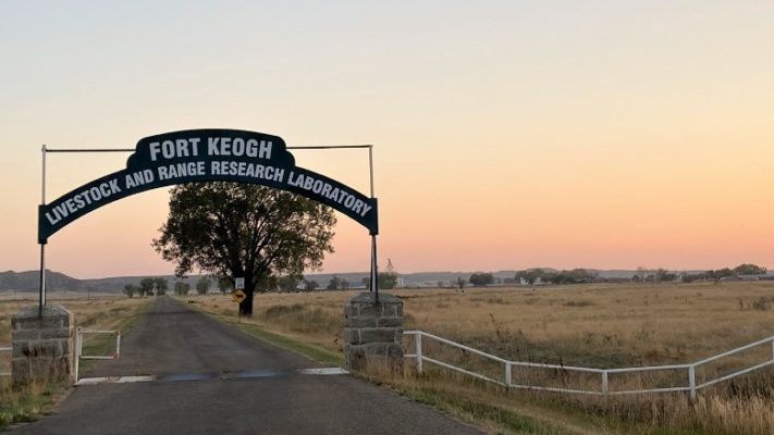 USDA-ARS Fort Keogh Livestock and Range Research Laboratory