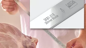 Starrett Skinner Blade