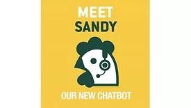 AI Chicken ChatBot tool