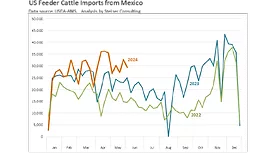 Beef market May 2024