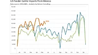 Beef market May 2024