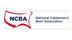 NCBA.png