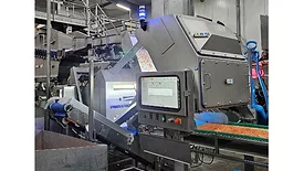 COMPASS optical sorter for individually quick-frozen products