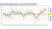 Beef supply trends August 2024