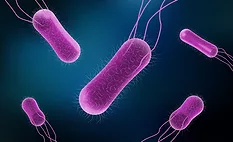 Vector illustration of Salmonella Bacteria for medicine concept