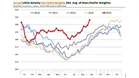 USDA fed cattle weights August 2024