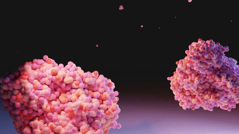 Ginkgo Bioworks partners with Novus to develop feed additives for animal ag