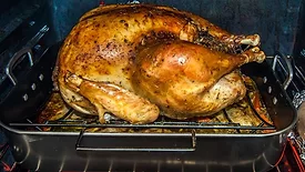 Whole turkey