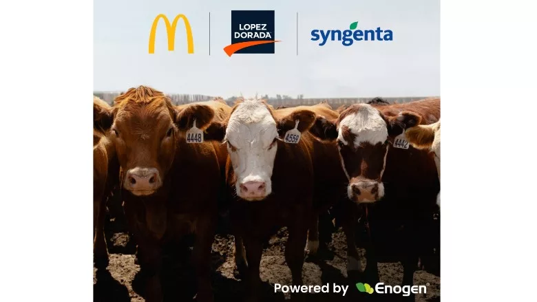 McDonald’s USA, Syngenta and Lopez Foods collaborate to help produce beef more sustainably in the U.S.