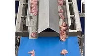 Key Technology poultry conveyor