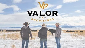 Valor Provisions