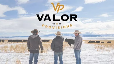 Valor Provisions.png
