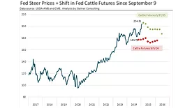 Steiner Consulting January 2025 beef market update