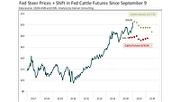 Steiner Consulting January 2025 beef market update Steiner Consulting January 2025 beef market update