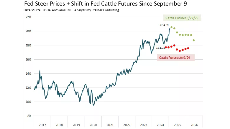 Steiner Consulting January 2025 beef market update