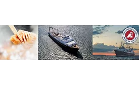 seafood and boats