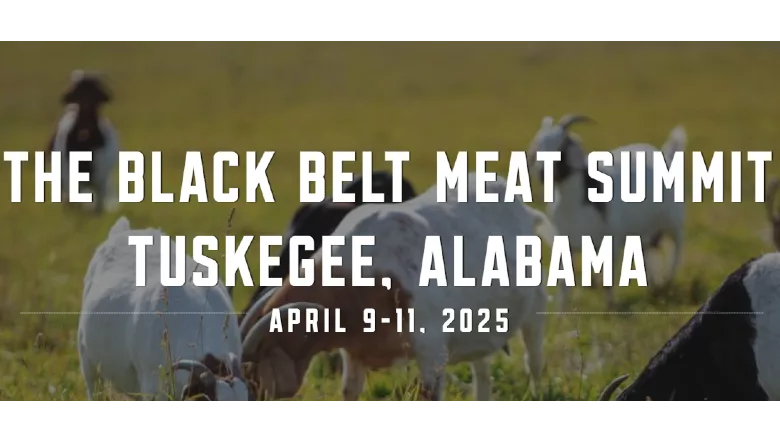 The Black Belt Meat Summit 2025