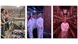 Brooke Rollins tours egg-laying facility