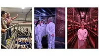 Brooke Rollins tours egg-laying facility