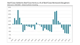 Steiner Consulting beef update February 2025