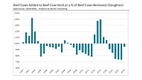 Steiner Consulting beef update February 2025