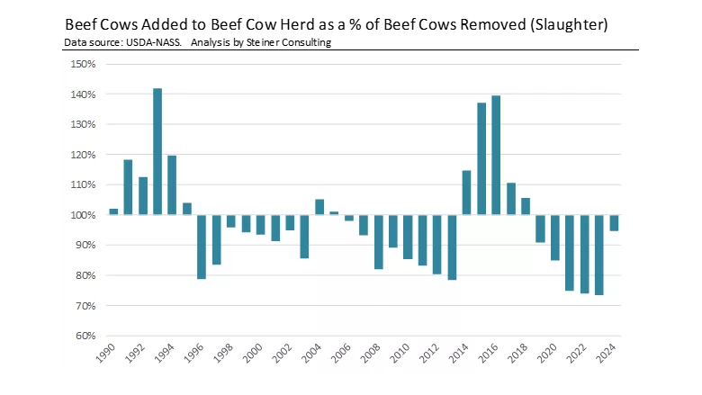 Steiner Consulting beef update February 2025