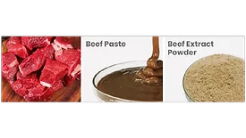 beef extract