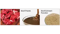 beef extract
