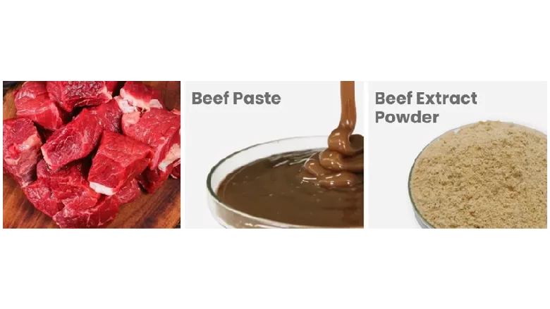 beef extract