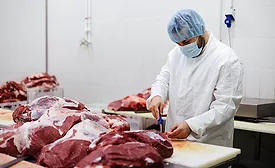 Professional butcher working at raw meet processing plant. Meet industry work concept.