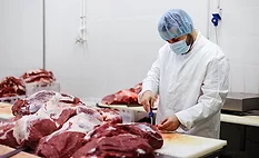 Professional butcher working at raw meet processing plant. Meet industry work concept.